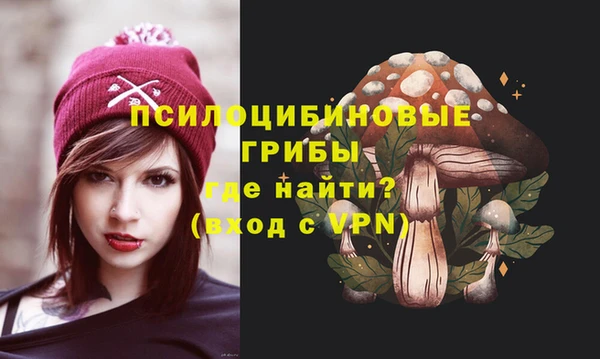 молекула духа Гусев