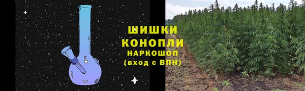 марки lsd Гусиноозёрск