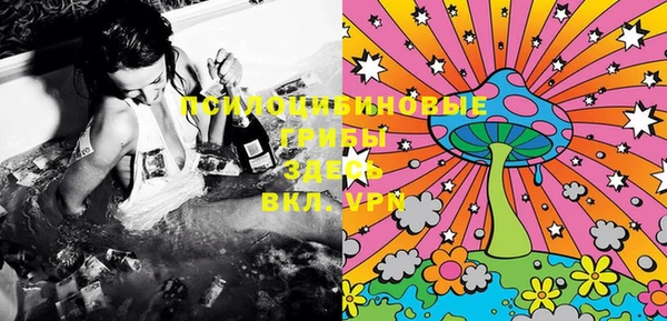 марки lsd Гусиноозёрск