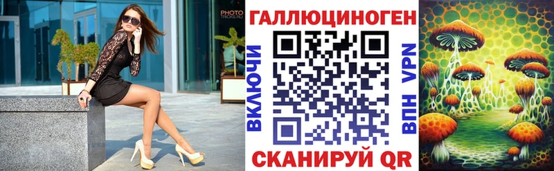где купить   Камышин  Галлюциногенные грибы Cubensis 